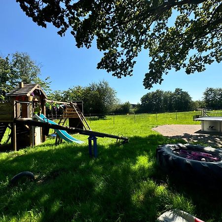 Hof Vierzehnender Im Hohen Venn - 70Qm Fachwerk-Studio - Grosses Wohn-Schlafzimmer Mit Dachterrasse Und Kaminofen - Separate Kueche - Perfekt Fuer Paare - Monschau - Eifel - Hunde Willkommen - Islandpferde المظهر الخارجي الصورة