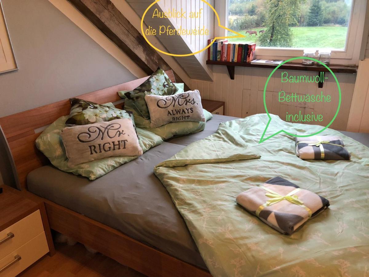 Hof Vierzehnender Im Hohen Venn - 70Qm Fachwerk-Studio - Grosses Wohn-Schlafzimmer Mit Dachterrasse Und Kaminofen - Separate Kueche - Perfekt Fuer Paare - Monschau - Eifel - Hunde Willkommen - Islandpferde المظهر الخارجي الصورة