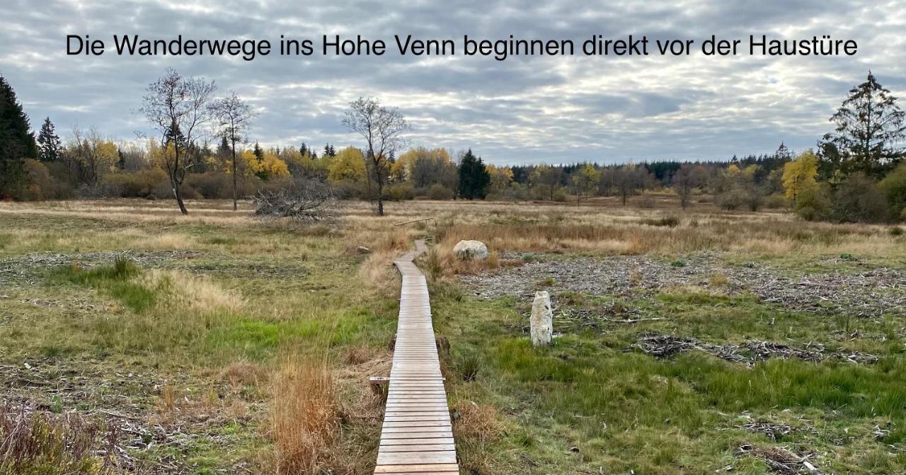 Hof Vierzehnender Im Hohen Venn - 70Qm Fachwerk-Studio - Grosses Wohn-Schlafzimmer Mit Dachterrasse Und Kaminofen - Separate Kueche - Perfekt Fuer Paare - Monschau - Eifel - Hunde Willkommen - Islandpferde المظهر الخارجي الصورة