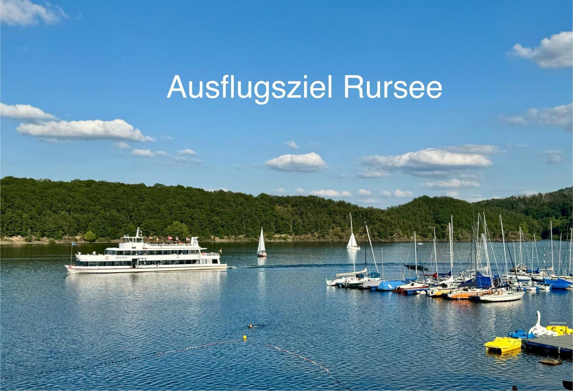 Hof Vierzehnender Im Hohen Venn - 70Qm Fachwerk-Studio - Grosses Wohn-Schlafzimmer Mit Dachterrasse Und Kaminofen - Separate Kueche - Perfekt Fuer Paare - Monschau - Eifel - Hunde Willkommen - Islandpferde المظهر الخارجي الصورة