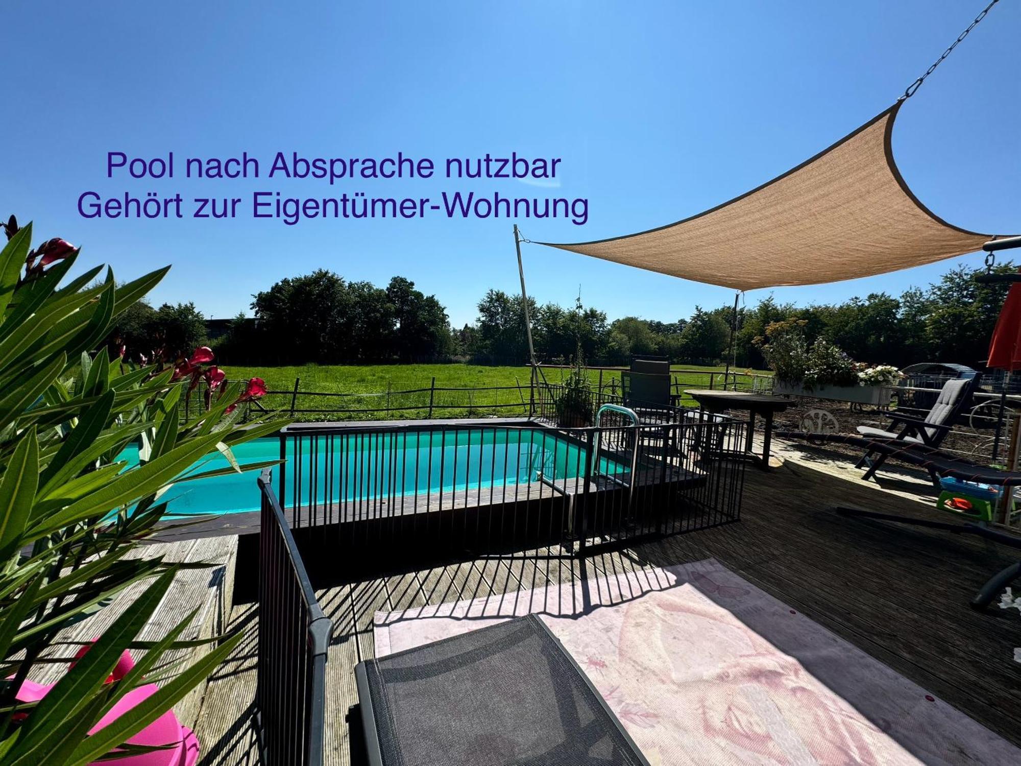 Hof Vierzehnender Im Hohen Venn - 70Qm Fachwerk-Studio - Grosses Wohn-Schlafzimmer Mit Dachterrasse Und Kaminofen - Separate Kueche - Perfekt Fuer Paare - Monschau - Eifel - Hunde Willkommen - Islandpferde المظهر الخارجي الصورة