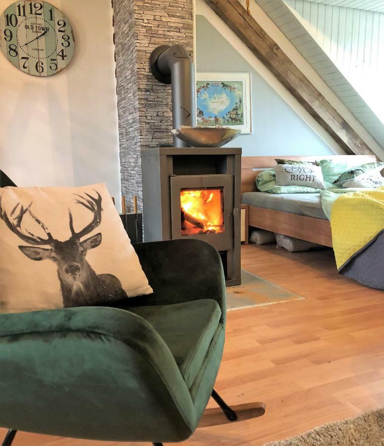 Hof Vierzehnender Im Hohen Venn - 70Qm Fachwerk-Studio - Grosses Wohn-Schlafzimmer Mit Dachterrasse Und Kaminofen - Separate Kueche - Perfekt Fuer Paare - Monschau - Eifel - Hunde Willkommen - Islandpferde المظهر الخارجي الصورة