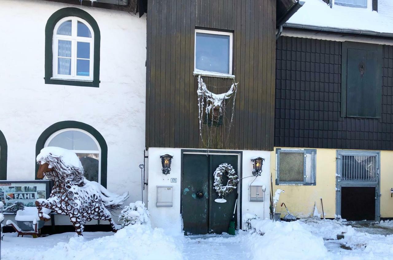 Hof Vierzehnender Im Hohen Venn - 70Qm Fachwerk-Studio - Grosses Wohn-Schlafzimmer Mit Dachterrasse Und Kaminofen - Separate Kueche - Perfekt Fuer Paare - Monschau - Eifel - Hunde Willkommen - Islandpferde المظهر الخارجي الصورة