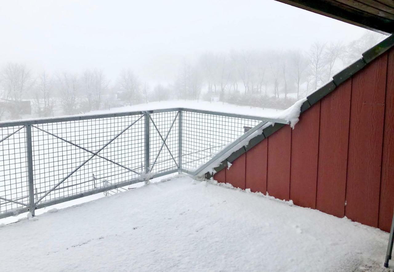 Hof Vierzehnender Im Hohen Venn - 70Qm Fachwerk-Studio - Grosses Wohn-Schlafzimmer Mit Dachterrasse Und Kaminofen - Separate Kueche - Perfekt Fuer Paare - Monschau - Eifel - Hunde Willkommen - Islandpferde المظهر الخارجي الصورة